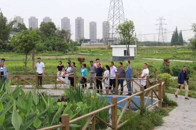 泰興鎮人大代表團開展《水污染防治法》專項視察，推進水污染治理工作
