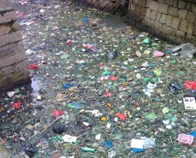 浙江環保成績單 2014年水污染治理的實踐與成效——從消滅6000里垃圾河看環保技術開發服務的推動